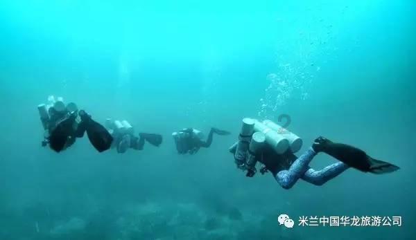 解救可爱的鸭子
